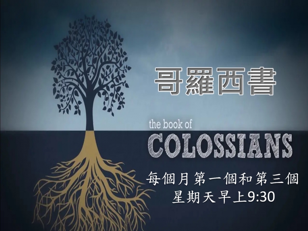 Colossians web