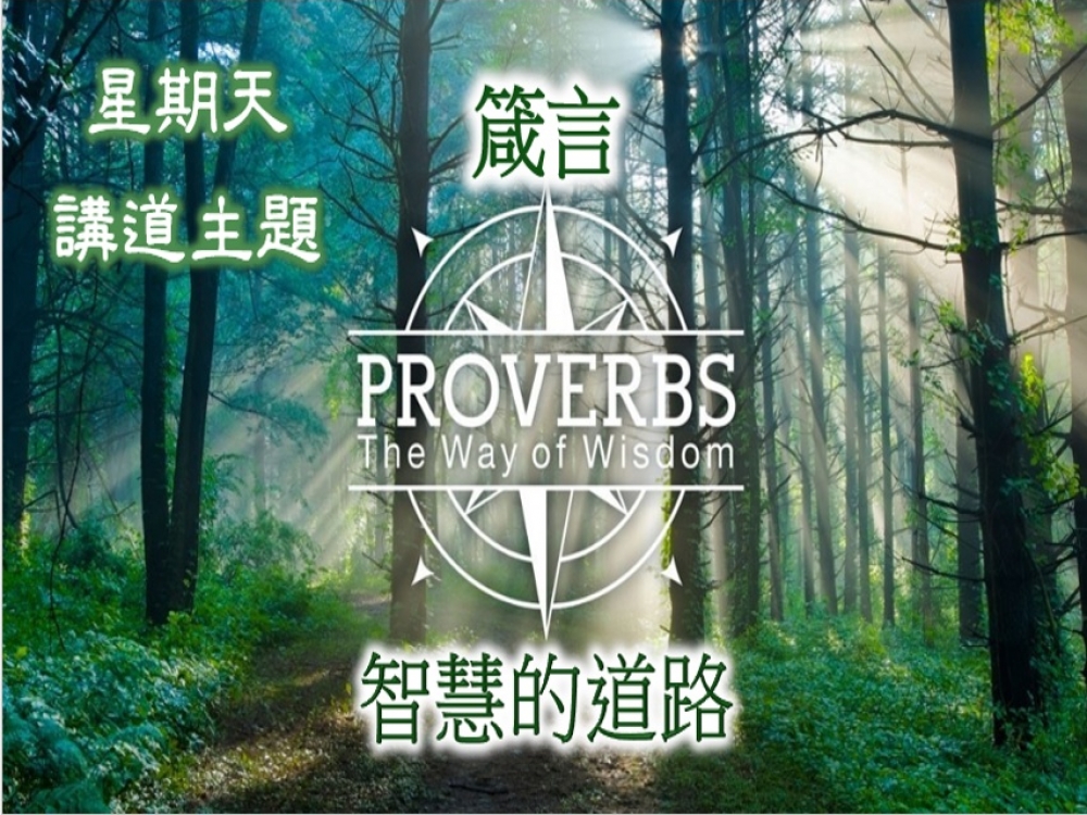 Proverbs series